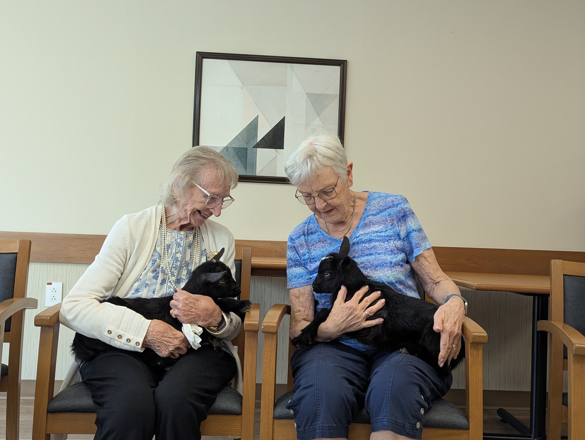 Two residents sitting with pet-therapy goats